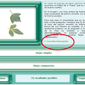 Consultar_botanipedia.png