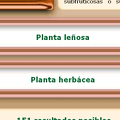 Dicotomias.png