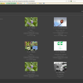 Galeria.png