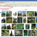 Google_imagenes.png