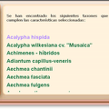 Listado.png