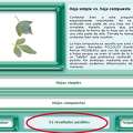 Resultados_posibles.png
