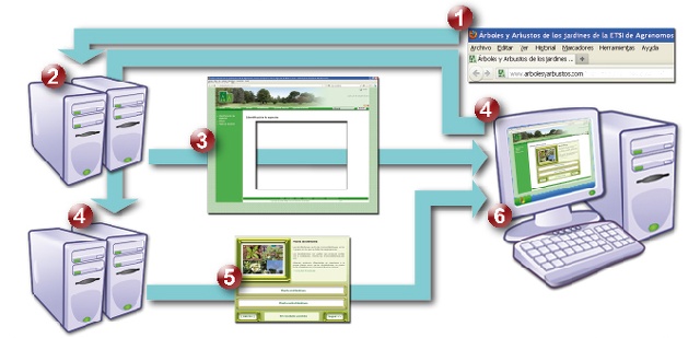 Tecnologia_iframe.jpg