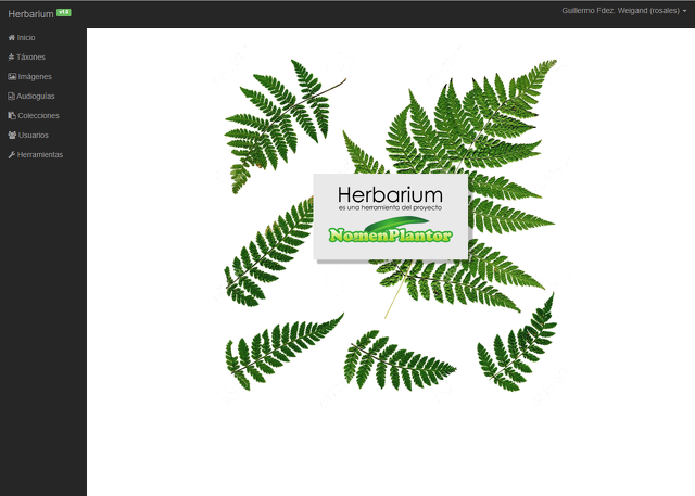 Herbarium-sm.PNG
