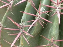 P1060350