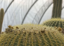 Cuerpo_aplanado.jpg