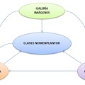 Relaciones proyecto NomenPlantor