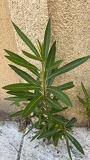 IMG 5364