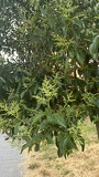 IMG 5395