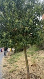 IMG 5396