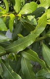 IMG 0840