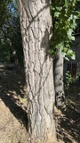 IMG 5438