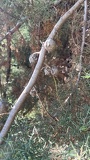 IMG 5446