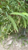 IMG 5400